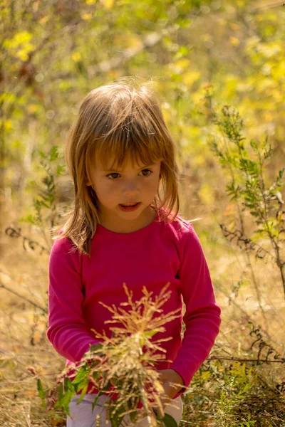 Kleines Mädchen Pflückt Eine Blume Gras — Stockfoto