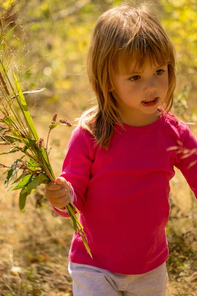 Kleines Mädchen Pflückt Eine Blume Gras — Stockfoto