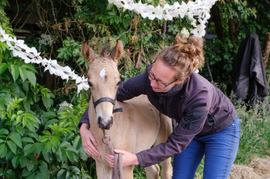 Sarı bir tayın başı, onu kucaklayan genç bir kadın, ağaçlarda sallanıyor. Tebrik kartı için arka plan, tebrikler, davetiyeler.