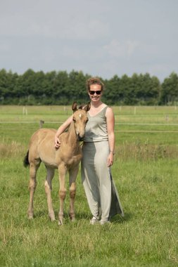 Genç bir kadın en iyi arkadaşına sarılıyor, şahin renkli aygır tay, aşkı ve karşılıklı sevgiyi paylaşıyor..