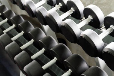 spor salonunda raf üzerinde metal halter satırlar