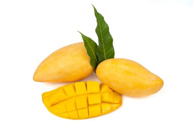 Taze mango ve beyaz arka planda kesilmiş mango..