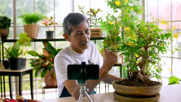 Senior gardener man selling beautiful plants on social media by streaming live from his shop.
