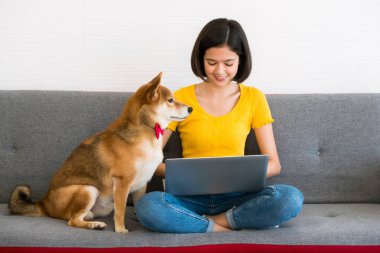 Dizüstü bilgisayarda çalışan Asyalı bir kadın ve Shiba Inu köpeği evdeki kanepede yan yana oturuyorlar.