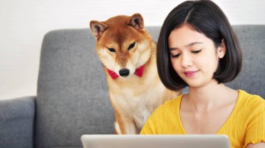 Dizüstü bilgisayarda çalışan Asyalı bir kadın ve evdeki kanepede oturan Shiba Inu köpeği.