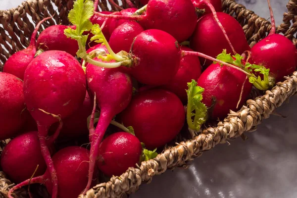 Rábanos Rojos Maduros Cesta — Foto de Stock