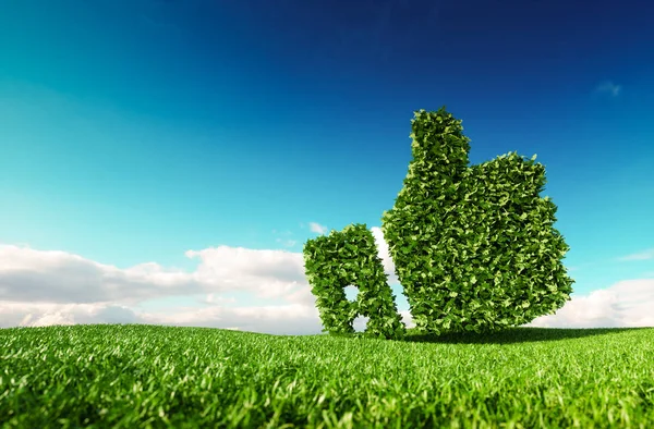 生态友好 无浪费 零污染 气候控制协议理念 背景为蓝天的清新春草甸竖起大拇指图标 — 图库照片