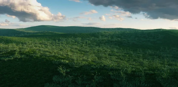 Herbe fraîche spacieuse prairie dans beutifull lumière du soir. 3d rende — Photo