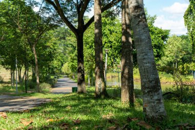 Parkta güzel bir gün..
