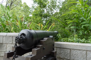 Yeşil bahçede eski bir top.