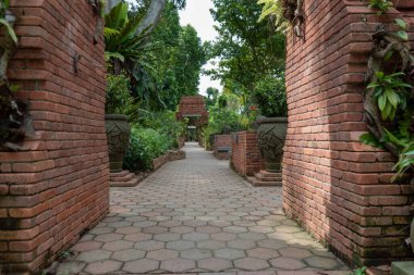 Yeşil ve canlı bir bahçede yürüyüş.