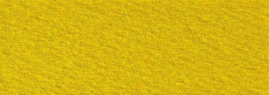 Büyük bir ayçiçeğinin sarı arkaplanı