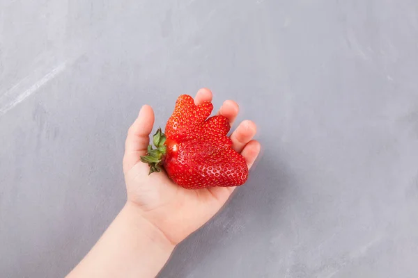 Концепция Уродливые Фрукты Овощи Детская Рука Держит Руках Спелую Клубнику — стоковое фото