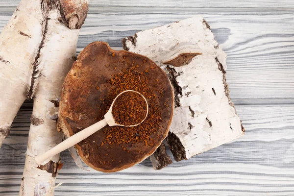Kuru Chaga çay tozu ile ahşap kaşık huş ağacının kabuğunun yanında doğal bir huş ağacı mantarının üzerinde yatar. Üst manzara, açık ahşap arkaplan.
