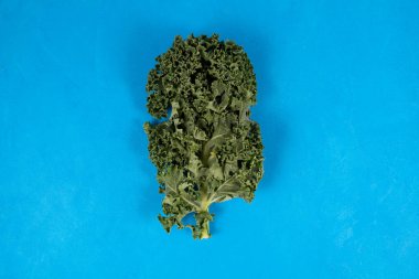 Mavi arka planda organik lahana yaprağı ve fotokopi alanı. Üst görünüm.