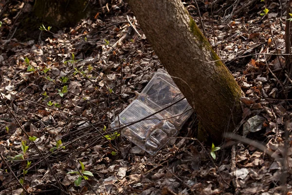 Используемый Одноразовый Пластиковый Контейнер Еды Выброшен Осенний Лес Пластиковые Отходы — стоковое фото