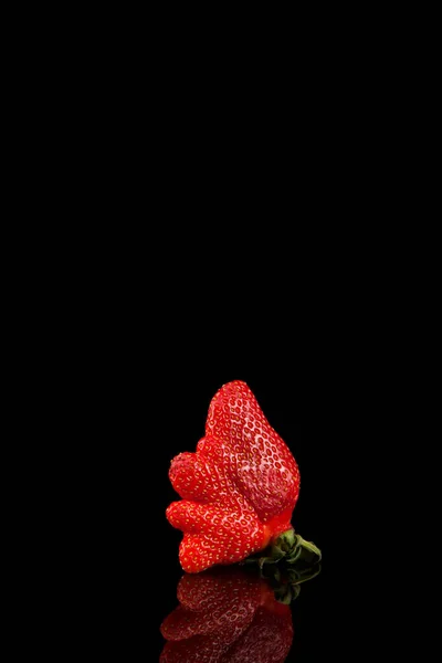 유기농 집에서는 공간이 어두운 배경에서 딸기를 길렀습니다 유행하는 이상하게 불완전 — 스톡 사진