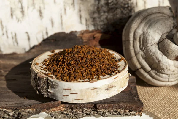 Barut ya da kurutulmuş Chaga huş ağacı mantarı, yakın plan. Alternatif tıpta kullanılan Chaga çayı..