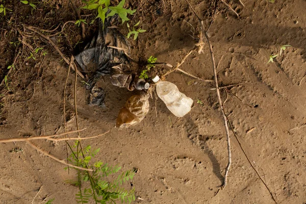 Kıyıda çöp var. Yüksek ve alçak gelgitte kıyıya vurulan eski politen poşetler ve plastik içecek şişeleri. Ev atıklarıyla su vücutlarının kirlenmesi.