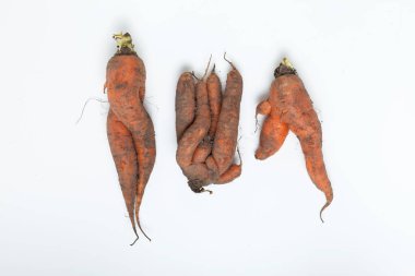 Üç tane yapışık kirli havuç. Çirkin sebzeler. Konsept: Gıda atığı azaltma. Kusurlu ürünleri pişirmede kullanmak.