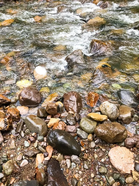 森の中を流れる水ビーチの石小石水 — ストック写真