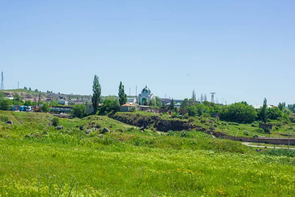 Paysage Avec Herbes Vertes Fleurs Jaunes — Photo