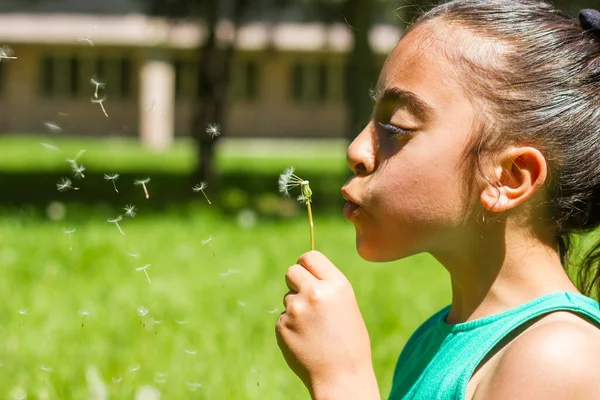 庭でタンポポを吹いている女の子 — ストック写真