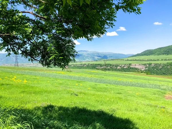 Landschaft Mit Grünem Feld Und Blauem Himmel Grünes Feld Und — Stockfoto