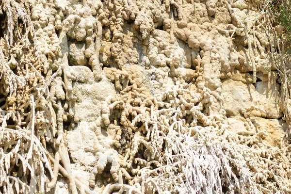 Kayaların Üzerinde Beyaz Mineral Yosunları — Stok fotoğraf