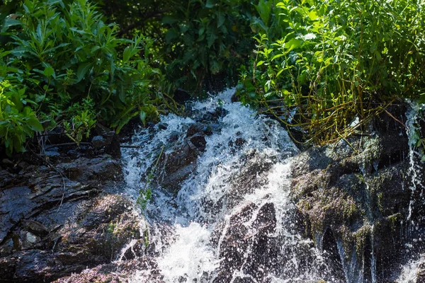 水在森林里流动 水在石头上飞溅 — 图库照片