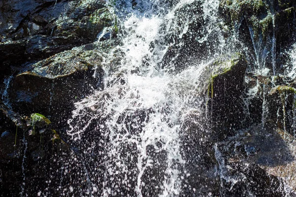 森に水が流れ石に水が飛び散る — ストック写真