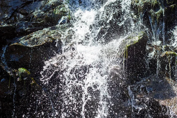 Acqua Che Scorre Nella Foresta Spruzzi Acqua Una Pietra — Foto Stock