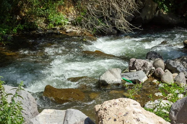 Річка Лісі Маленький Водоспад Лісі — стокове фото