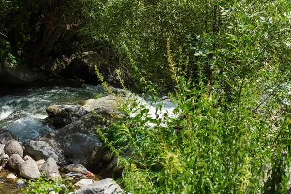 Річка Лісі Маленький Водоспад Лісі — стокове фото