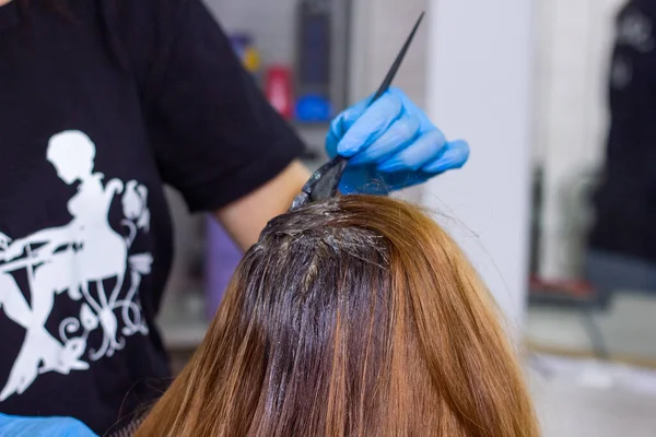 Friseur Bei Der Arbeit Junger Friseur Färbt Dem Kunden Die — Stockfoto