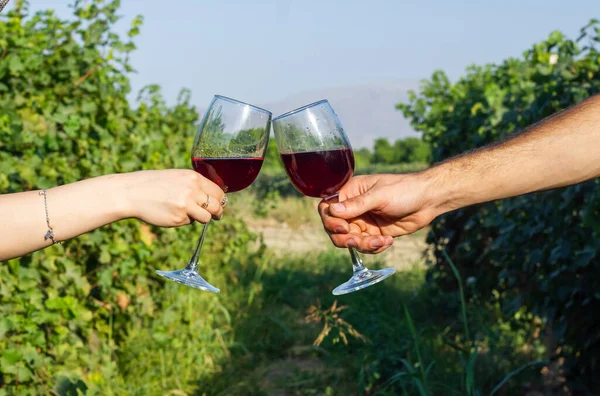 Mani Che Tengono Bicchiere Vino Vigna — Foto Stock