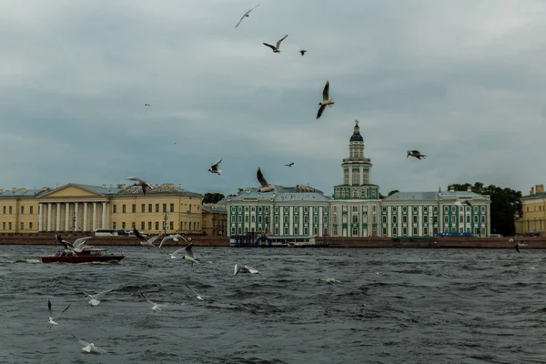 Historisches Gebäude Neva Damm Petersburg Russland — Stockfoto