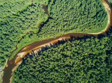 Hava dron görünümü, nehrin derin orman kumlu menziller güneşli bir günde ile viraj.