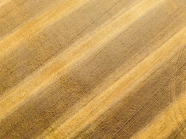 Вид Воздуха Скошенные Поля Пшеницы Фон — стоковое фото