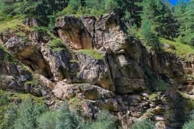 Kuzey Kafkasya ormandaki kayalık kaya.