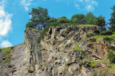 Fırtınalı dağ nehir arasında yoğun orman.