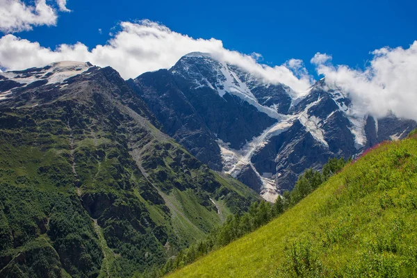 Kuzey Kafkasya Yaz Dağ Manzarası Karla Kaplı Tepeler Planda Yeşil — Stok fotoğraf