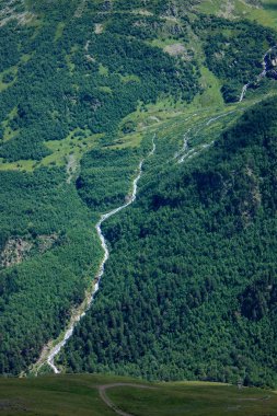 Fırtınalı dağ nehir arasında yoğun orman.