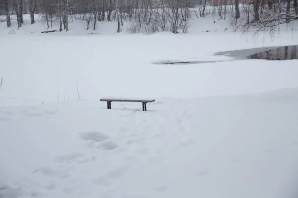 Снегопад Городе Заснеженный Пруд Утками Городском Парке — стоковое фото