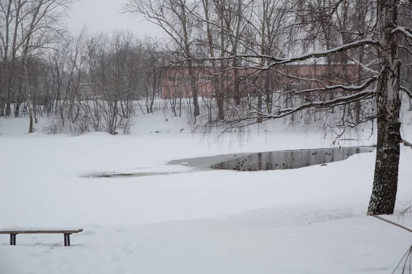 Снегопад Городе Заснеженный Пруд Утками Городском Парке — стоковое фото