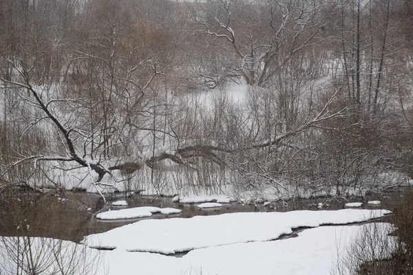 Schneefall Der Stadt Verschneiter Teich Mit Enten Stadtpark — Stockfoto