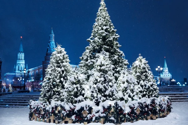 Nacht Winter Moskau Schnee Manegenplatz Fürs Neue Jahr Dekoriert — Stockfoto