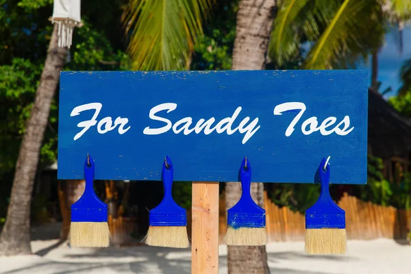 Brushes for cleaning shoes and feet from the sand on the beach.