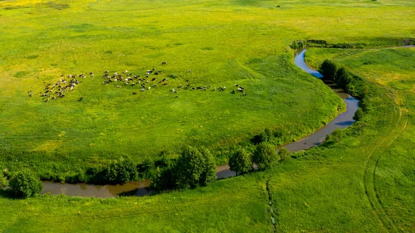 Luftaufnahme von der Drohne der Sommerlandschaft mit Fluss, Hügel — Stockfoto