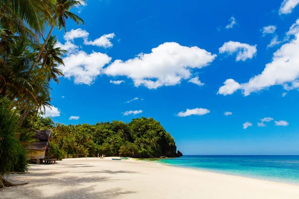 热带海滩、椰子树、大海和海辉的美丽景观 — 图库照片